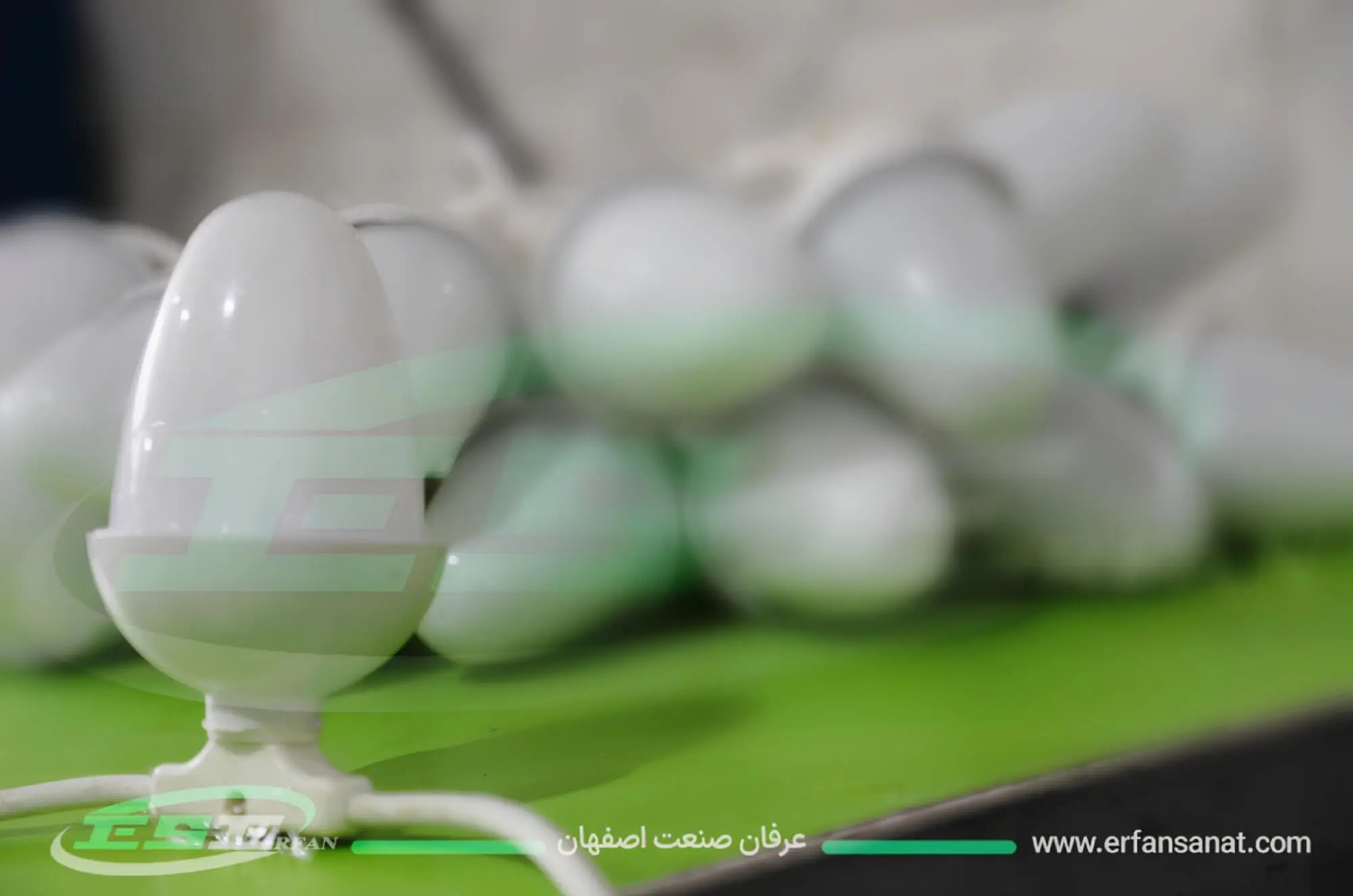 ريسة بلوطية سبع ألوان 