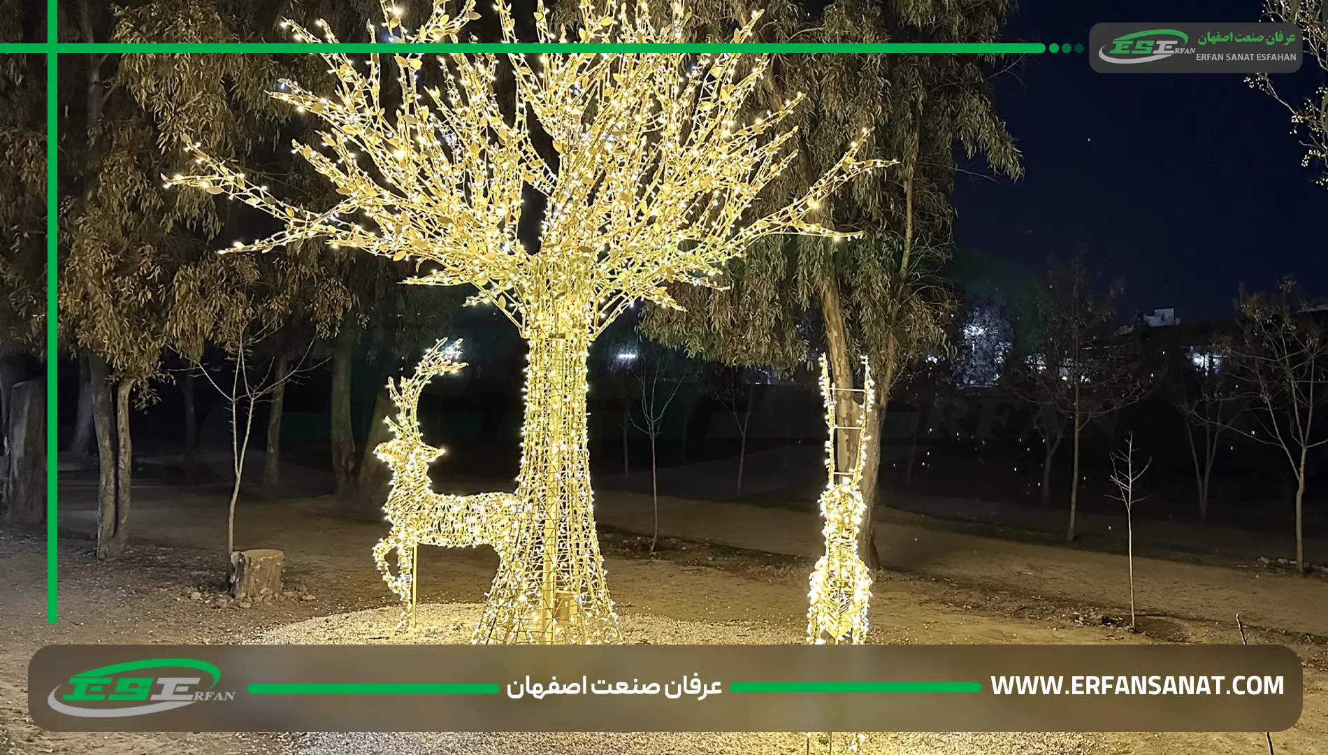 دو المان گوزن نوری کنار درخت