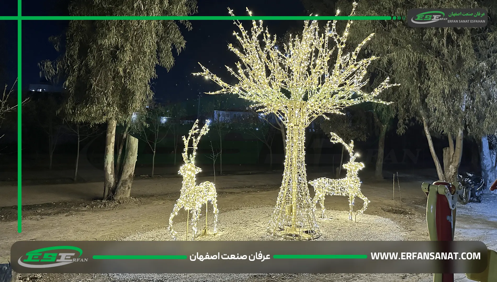 المان گوزن نوری در شب