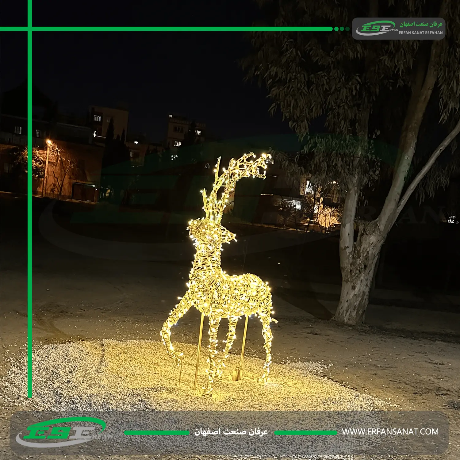 تک المان گوزن نوری 