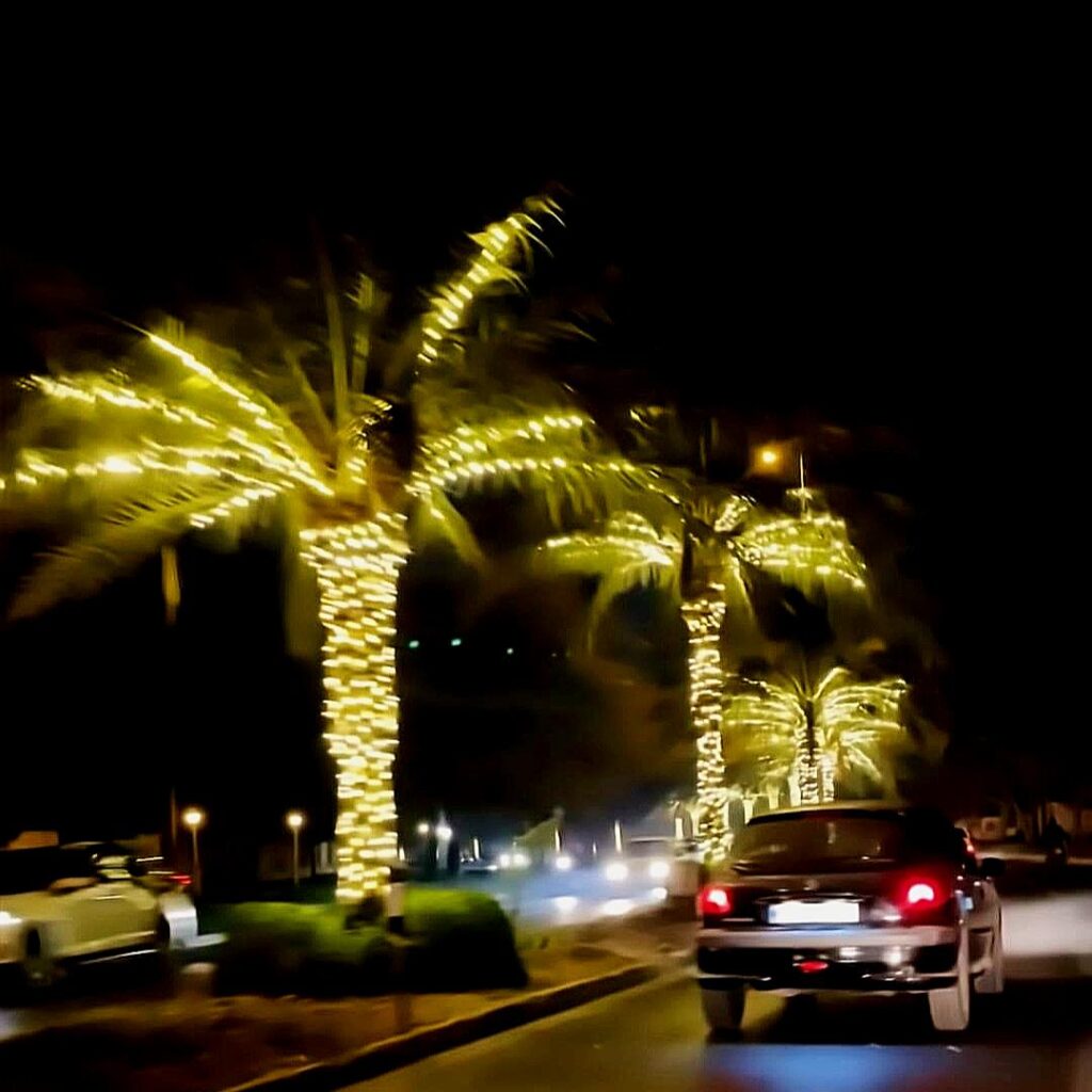 نورپردازی درختان نخل
