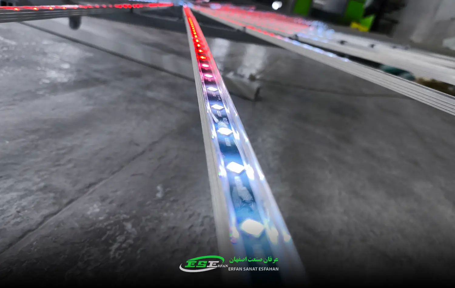 یکی از شاخه های خورشید نما 48 پره از نمای نزدیک برای نمایش کیفیت محصولات