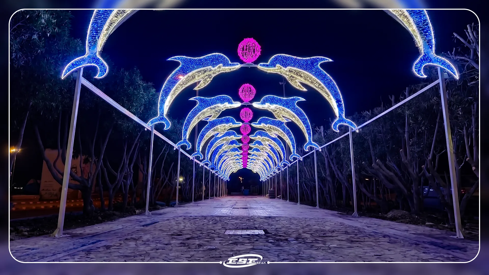 55 1